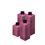 Четыре розовые свечи.png